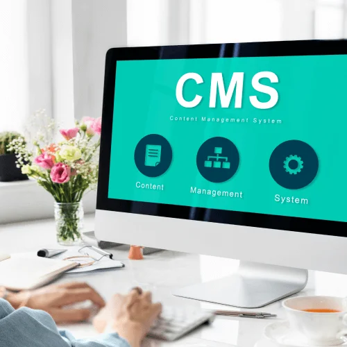 CMS and E-Commerce